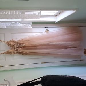 Prom Dress Never worn Hebros Size 2 Strapless Sequined blush color